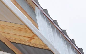 why Neasham fascia repairs are essential